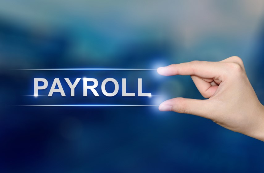Why Should You Use a Payroll Software