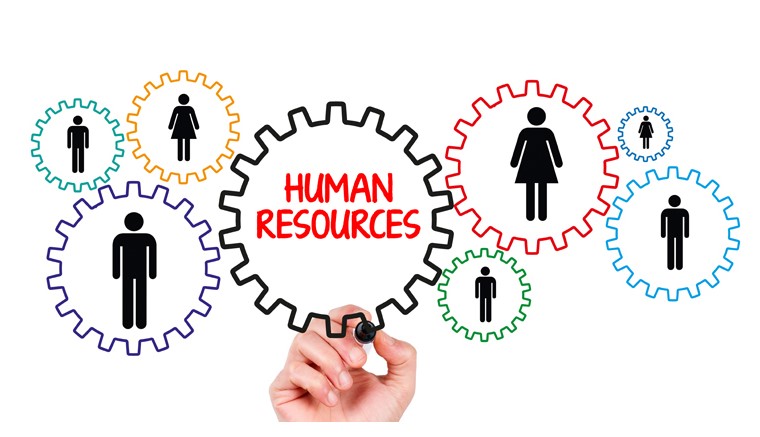 Why You Should Have an HR Software